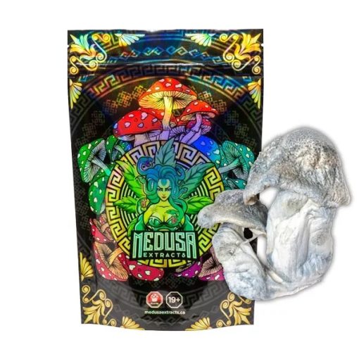 Ape Albino Penis Envy Magic Mushrooms Medusa Extracts