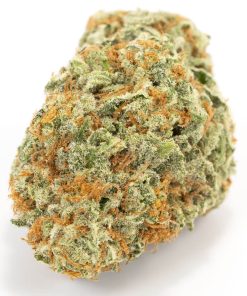 Bruce Banner