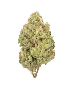 Gorilla Bomb Sativa Deadhead Chemist