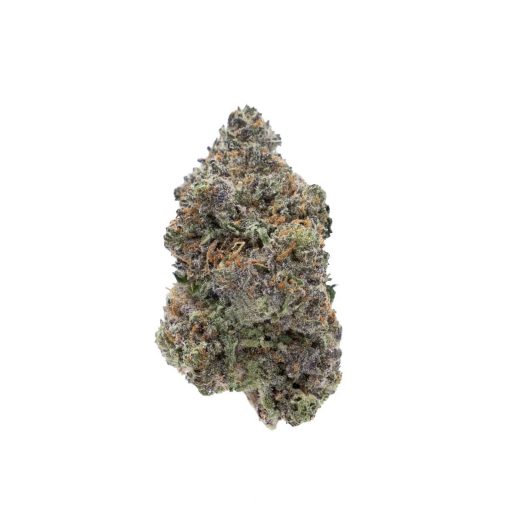 Himalayan Blackberry Indica Deadhead Chemist - Image 2