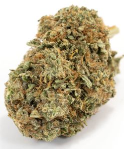 Jack Diesel Sativa Deadhead Chemist