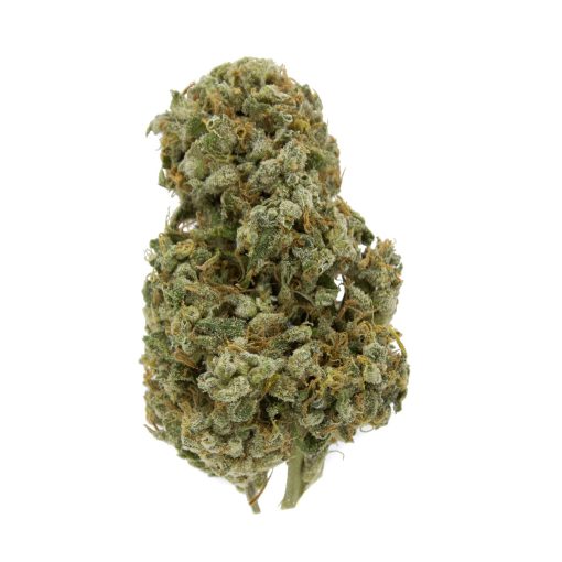 Jack Herer Sativa Deadhead Chemist - Image 2