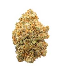 Jamaican Haze Sativa Deadhead Chemist