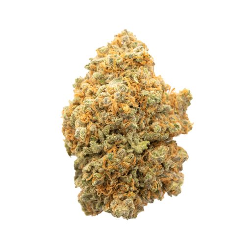 Jamaican Haze Sativa Deadhead Chemist