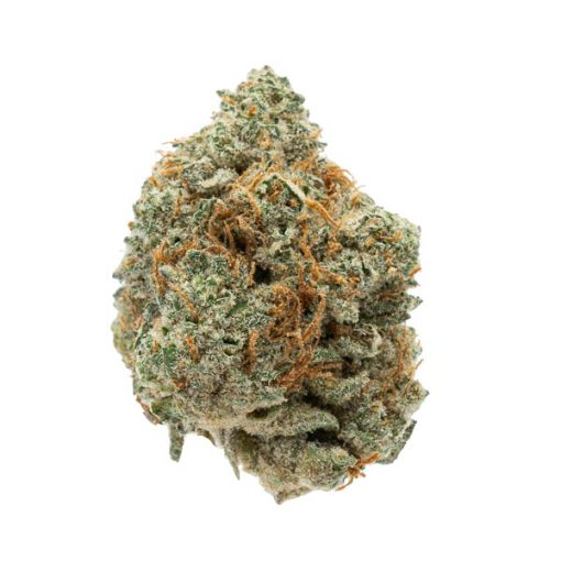 Moby Diesel 2