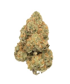 NYC Diesel Sativa Deadhead Chemist