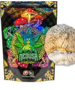 Penis Envy Dino Egg Magic Mushrooms VERY POTENT Medusa Extracts