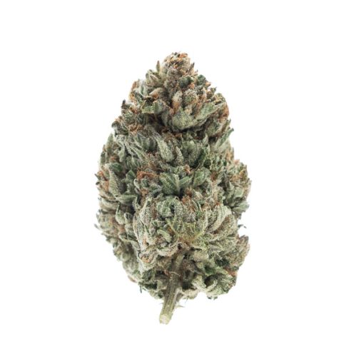 Purple Candy Indica