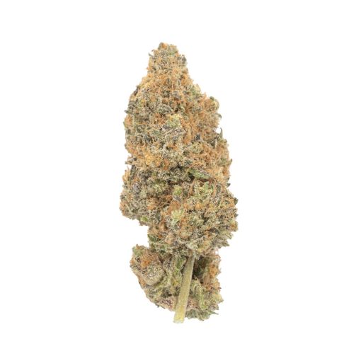 Purple Haze Sativa Deadhead Chemist