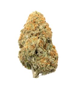 Lemon Drop Hybrid Deadhead Chemist