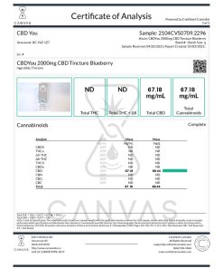 Cbdyou 2000Mg Cbd Tincture Blueberry