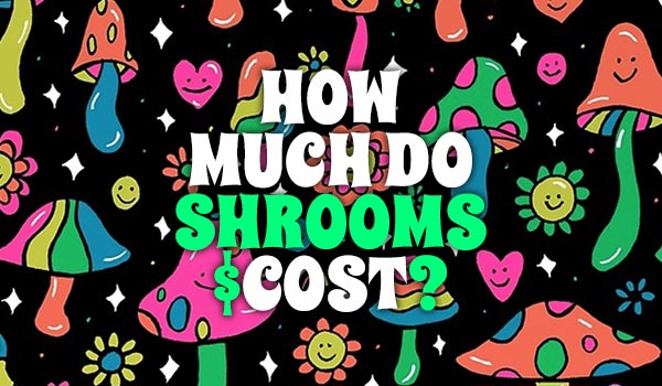 Canmush Shroomcost