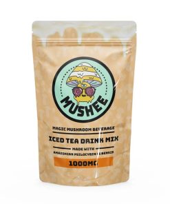 Magic Mushroom Hot Chocolate - 1000MG - Mushee