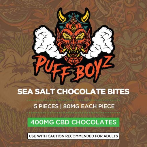 Sea Salt Chocolate Bites 400Mg Cbd