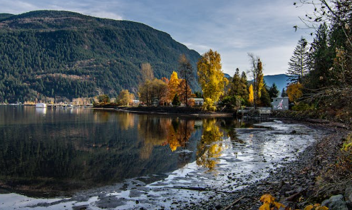 Picture of Abbotsford Downtown