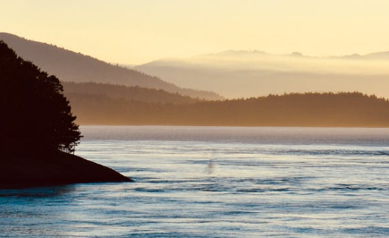 Picture of Burnaby Downtown