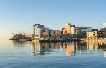 Picture of Fredericton Downtown
