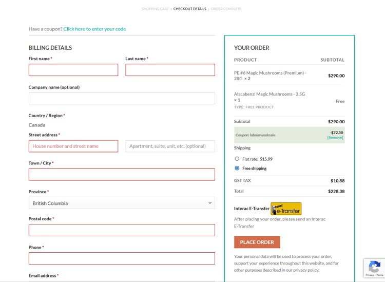 Step 3 Billing and Shipping Information