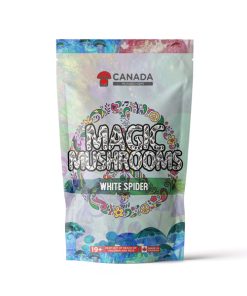 White Spider Magic Mushrooms (Premium)