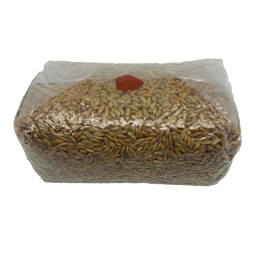 Magic Mushroom Sterile Grain Bag