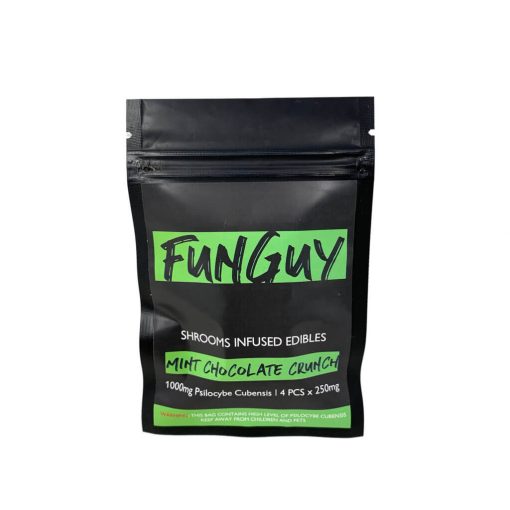 FunGuy Mint Chocolate Crunch Chocolate 1000mg