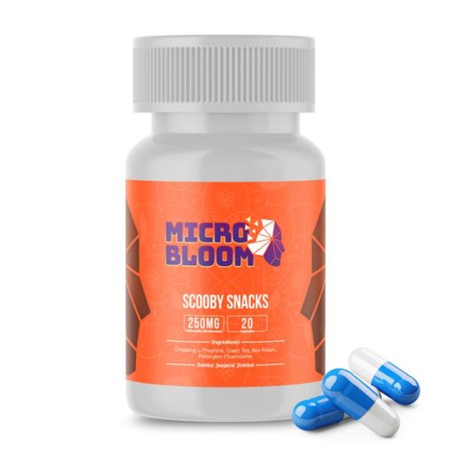 Micro Bloom - Scooby Snacks Microdose - 5000MG (20)