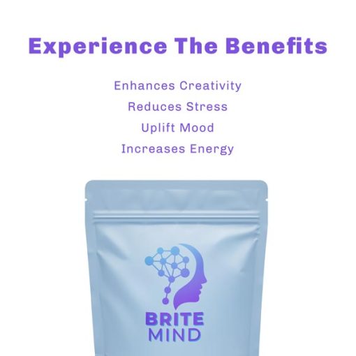 Brite Mind - Votex Microdose - Performance - Image 3