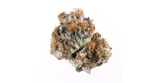 007 Sativa