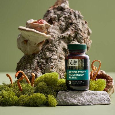 How to Choose the Right Mushroom Supplement for You