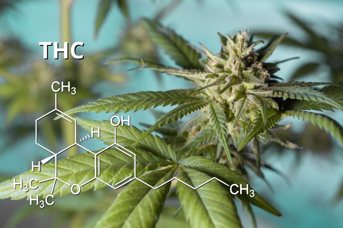THC Microdosing for Workplace Creativity: Risks and Rewards